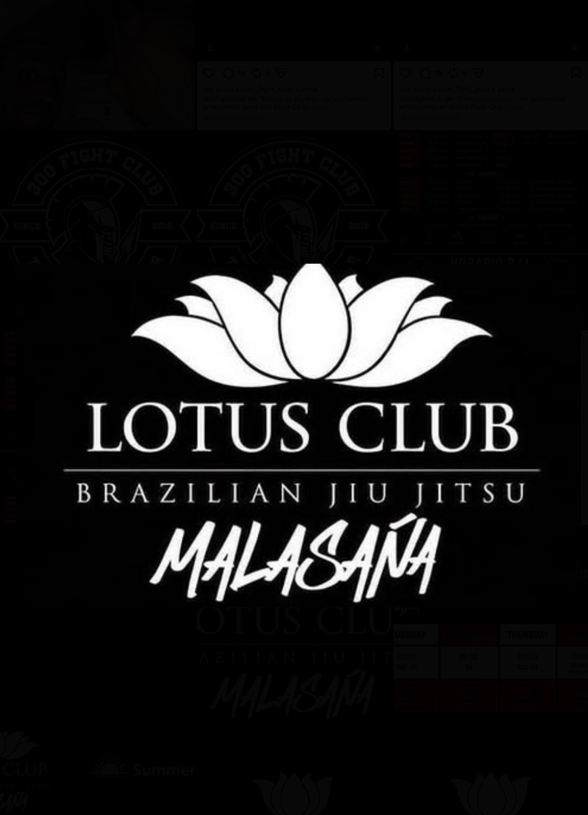 Foto de BJJ Madrid - Lotus Malasaña