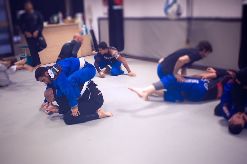 Foto de BJJ Madrid - Lotus Club Metropolitano